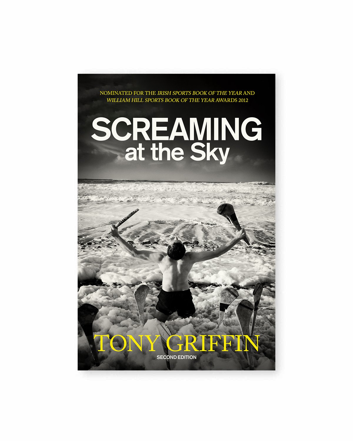 Screaming-at-the-sky-cover-new-oct24.jpg