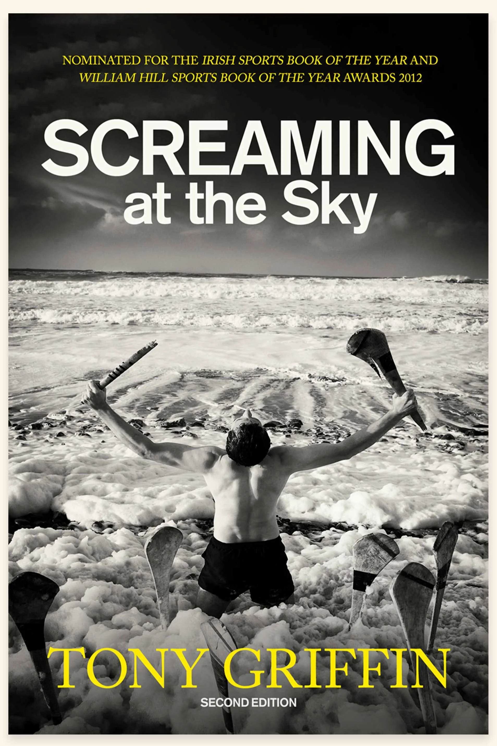 Screaming at The Sky