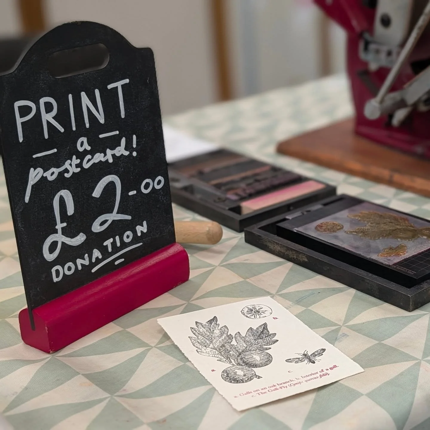 Print your own oak gall ink postcard... Today (17 May) at @scoltonmanor 

#pressplay #chwaraeteg #plasgwasg #printpalace #printmaking #heritagecraft #organic #natural #haverfordwest #hwlffordd #pembrokeshire #sirbenfro #pembslife