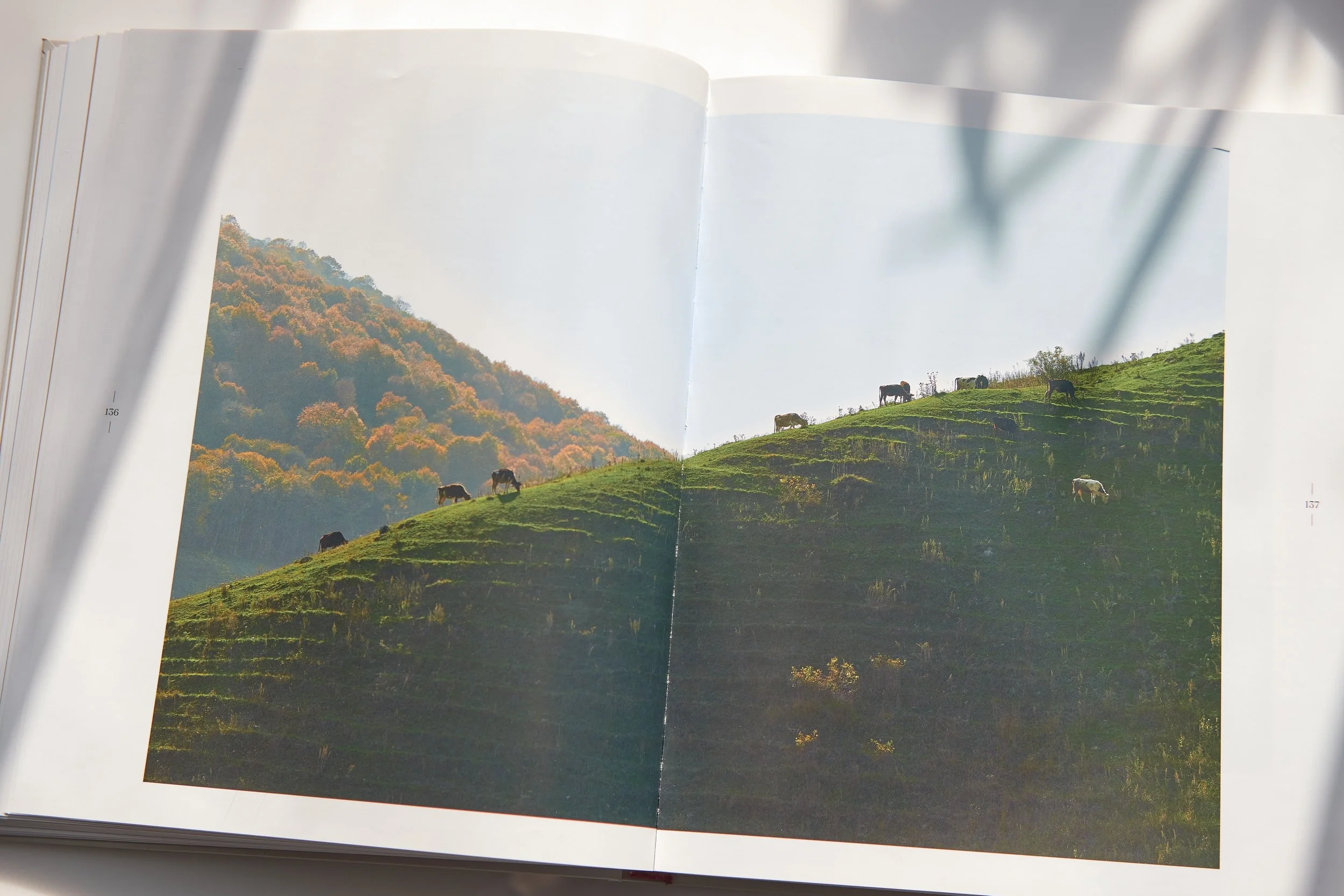 Ode to Armenia 7.jpg