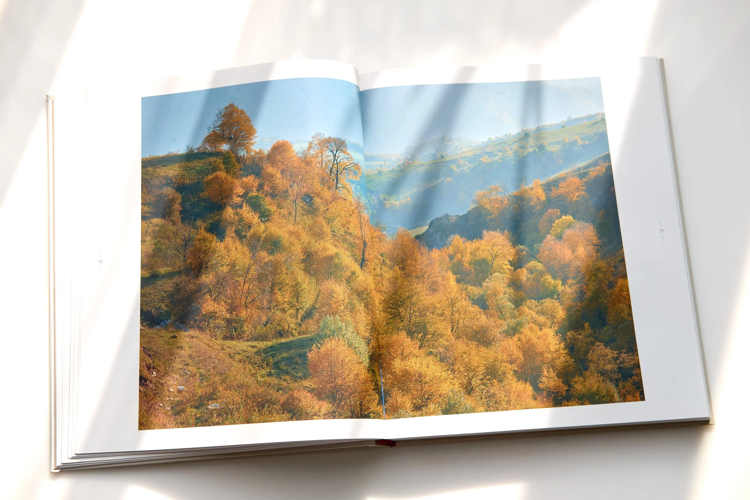 Ode to Armenia - 4343.jpg