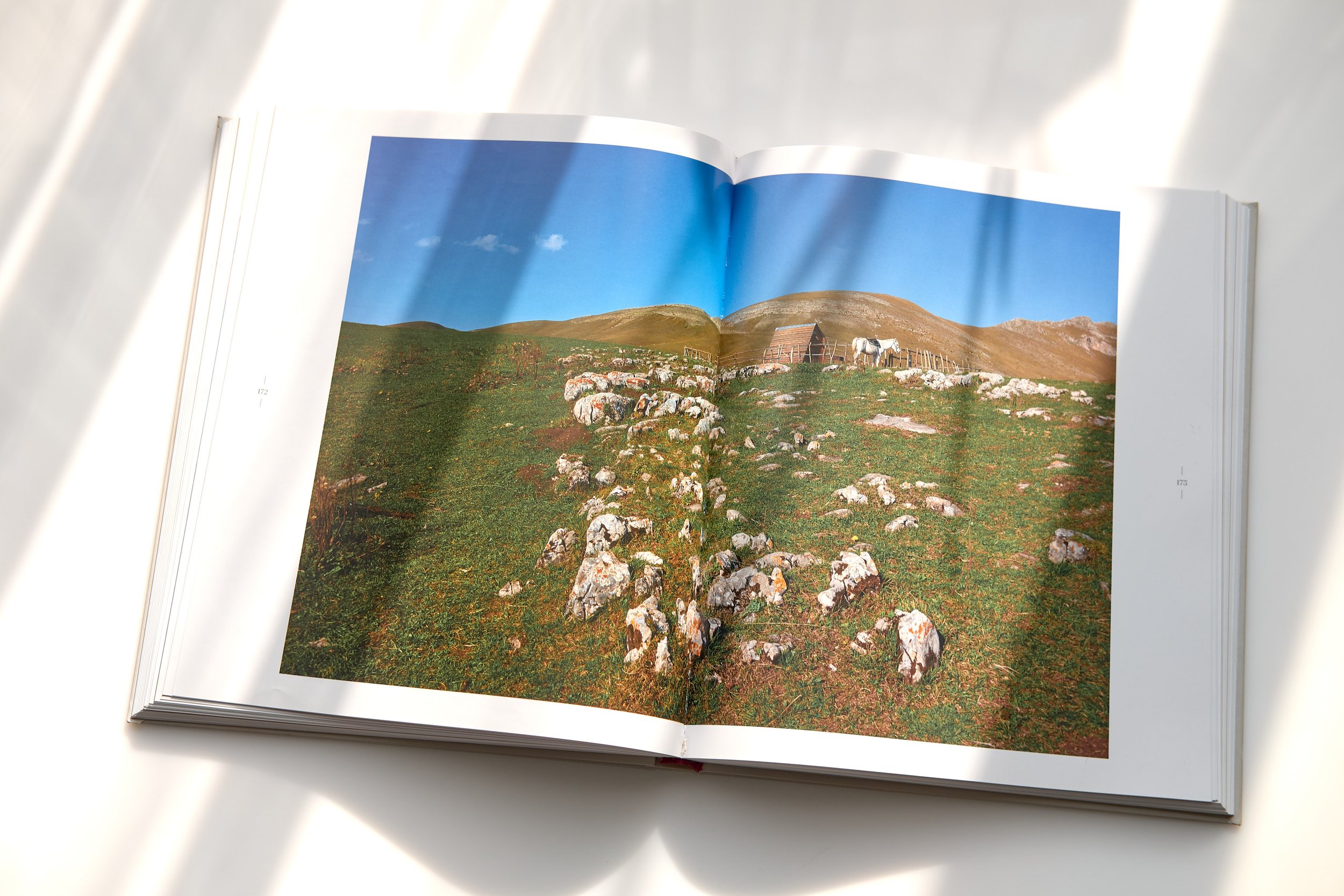 Ode to Armenia - 4350.jpg