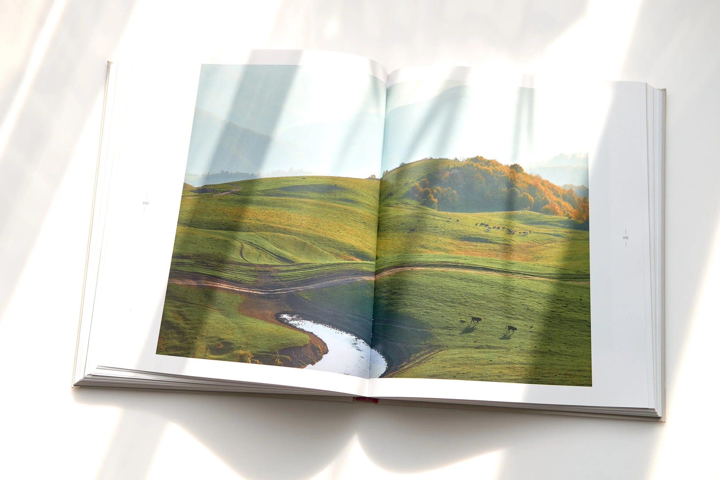 Ode to Armenia - 4351.jpg