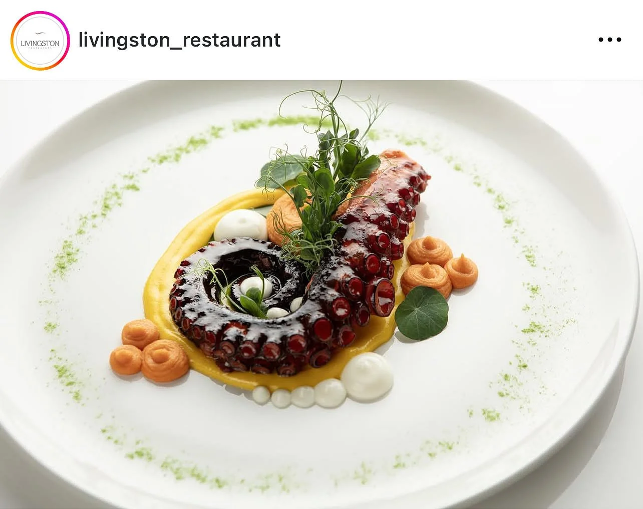 Livingston restaurant 09.jpg