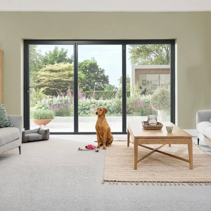 Living room with large sliding glass door revealing a garden outside with trees and flowers, a brown dog sitting on carpeted floor, with a pink toy in front of it, and furniture including a gray sofa, a wooden coffee table with a woven basket, and a white armchair.