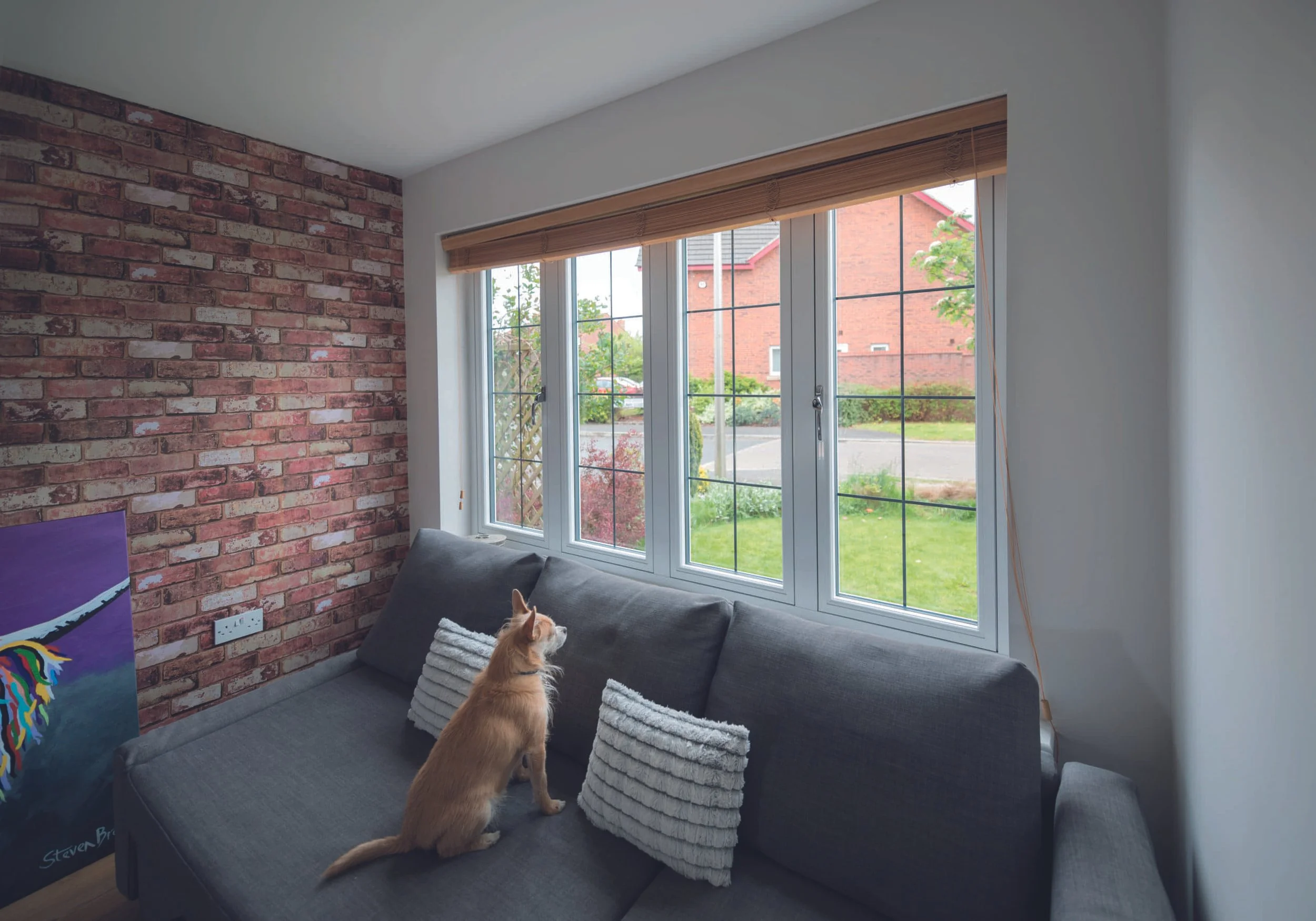 A living room with a gray sofa, two white textured throw pillows, a large window with wooden blinds, a brick accent wall, and a small dog sitting on the sofa gazing outside.