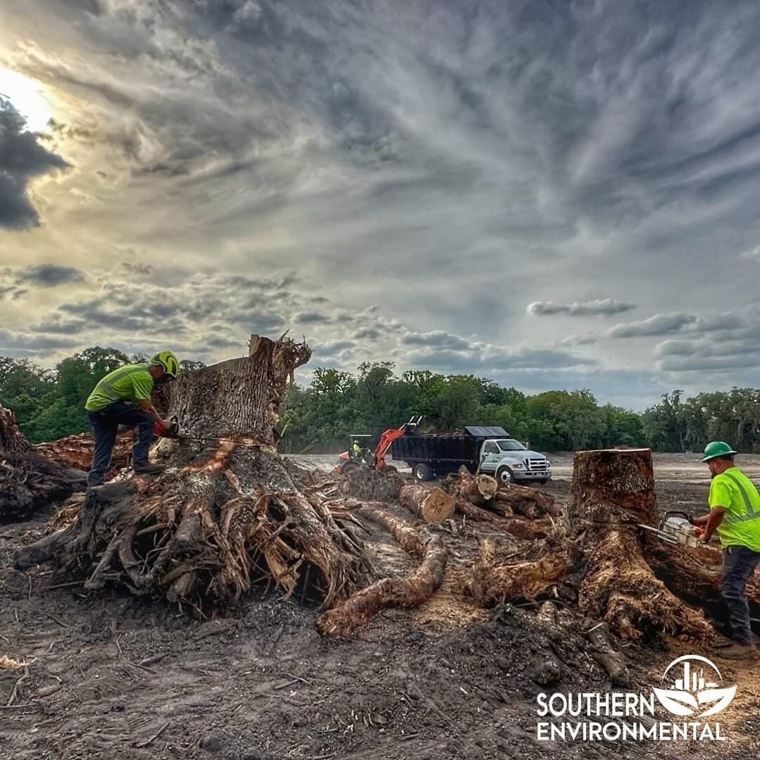 When it comes to large-scale projects, such as land clearing, we employ cutting-edge techniques and equipment to ensure efficiency while minimizing environmental impact. Through careful planning and execution, we strive to achieve our clients&rsquo; 