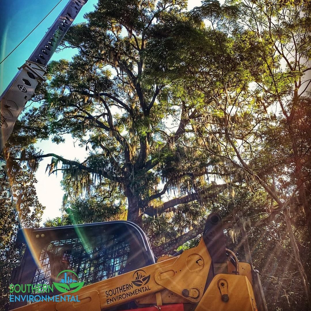 At Southern Environmental, we specialize in a wide range of services tailored to meet your needs, from meticulous tree care to expert land development. With our commitment to quality and attention to detail, you can trust us to transform your vision 