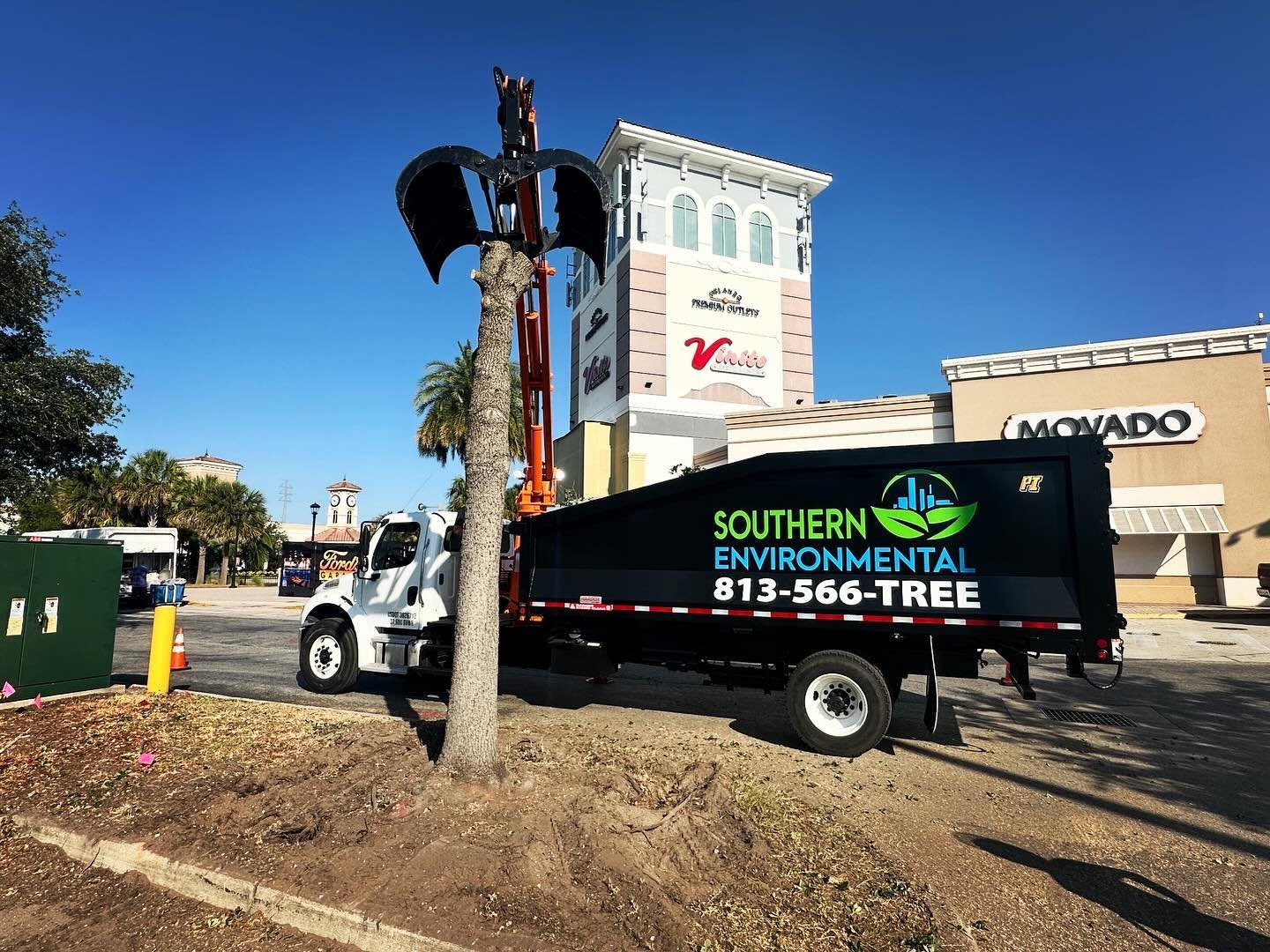 Conducting tree removal for an additional electrical panel install. #treeremovalexperts #treeremovals #treetrimming #treetrim #commercialtreeremoval 
#callbeforeyoudig #undergroundlocating