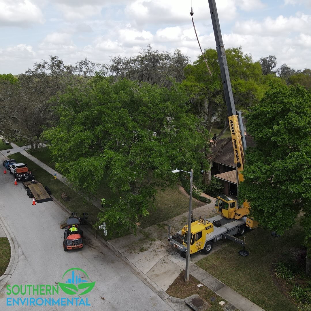With a plan in place, we move swiftly to execute your project with precision and care, minimizing disruption to your property and maximizing the effectiveness of our solutions. 🏠

(813) 566-TREE
www.southern-enviro.com

#SouthernEnvironmental #TreeS