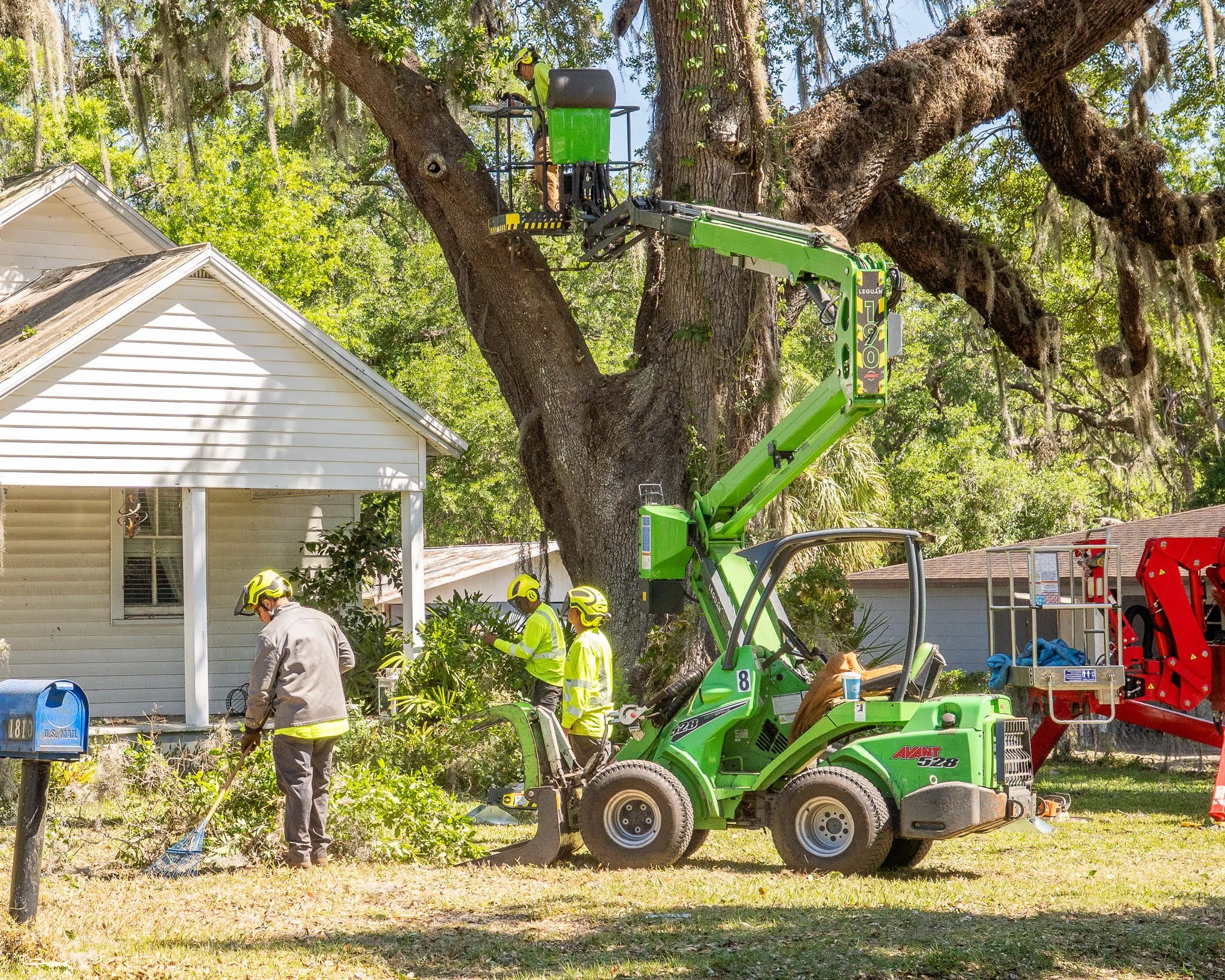 Early-Year Tree Hazard Assessments: Why January Is Crucial for Central Florida Property Owners
