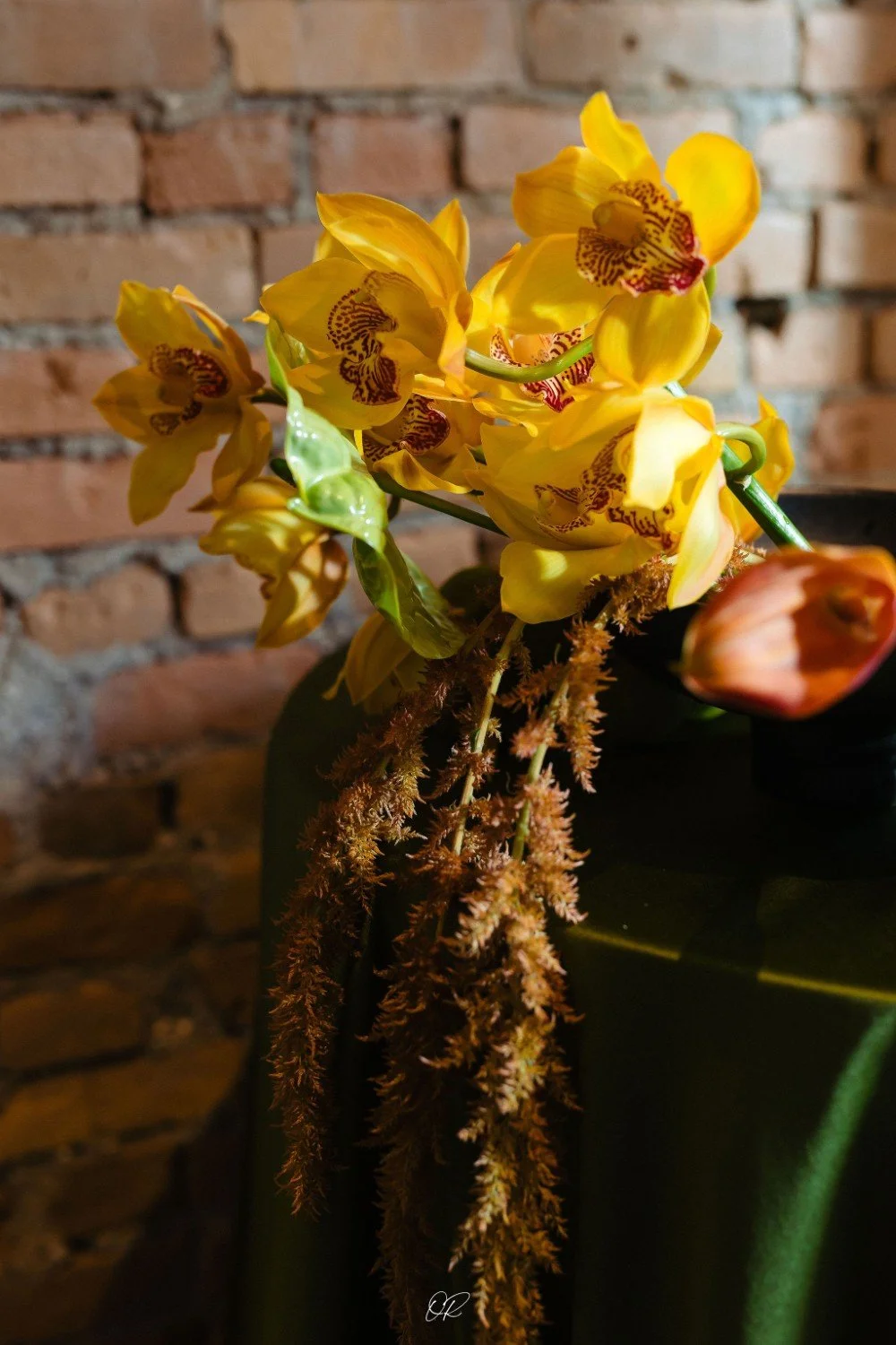 plantain-spice-series-dinners-calgary (11).jpg