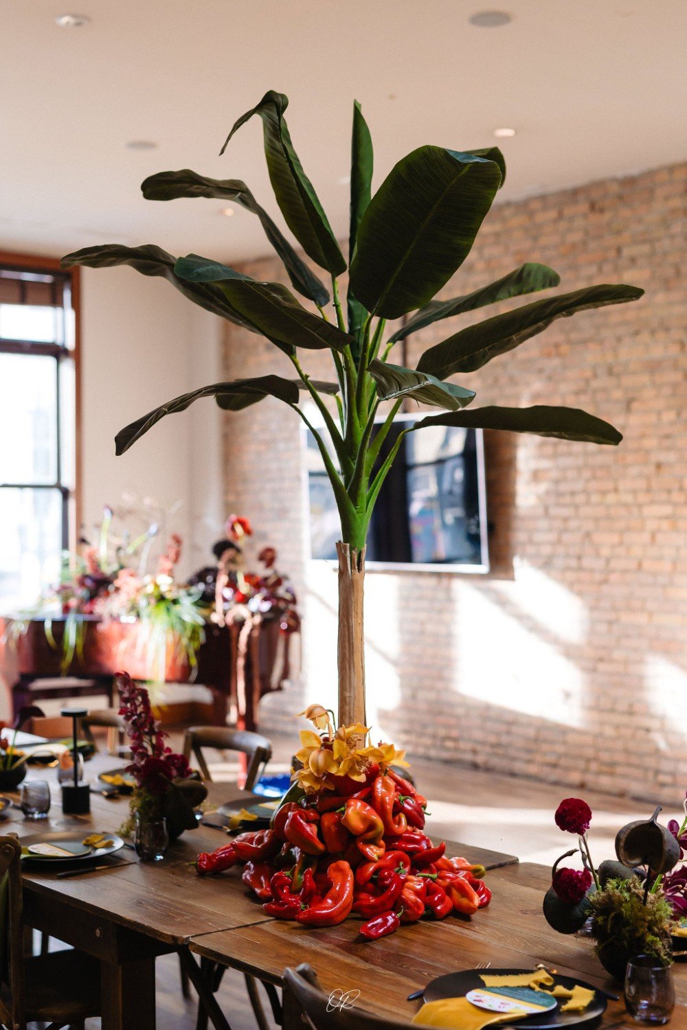 plantain-spice-series-dinners-calgary (2).jpg
