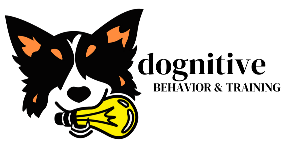 Dognitive Behavior and Training