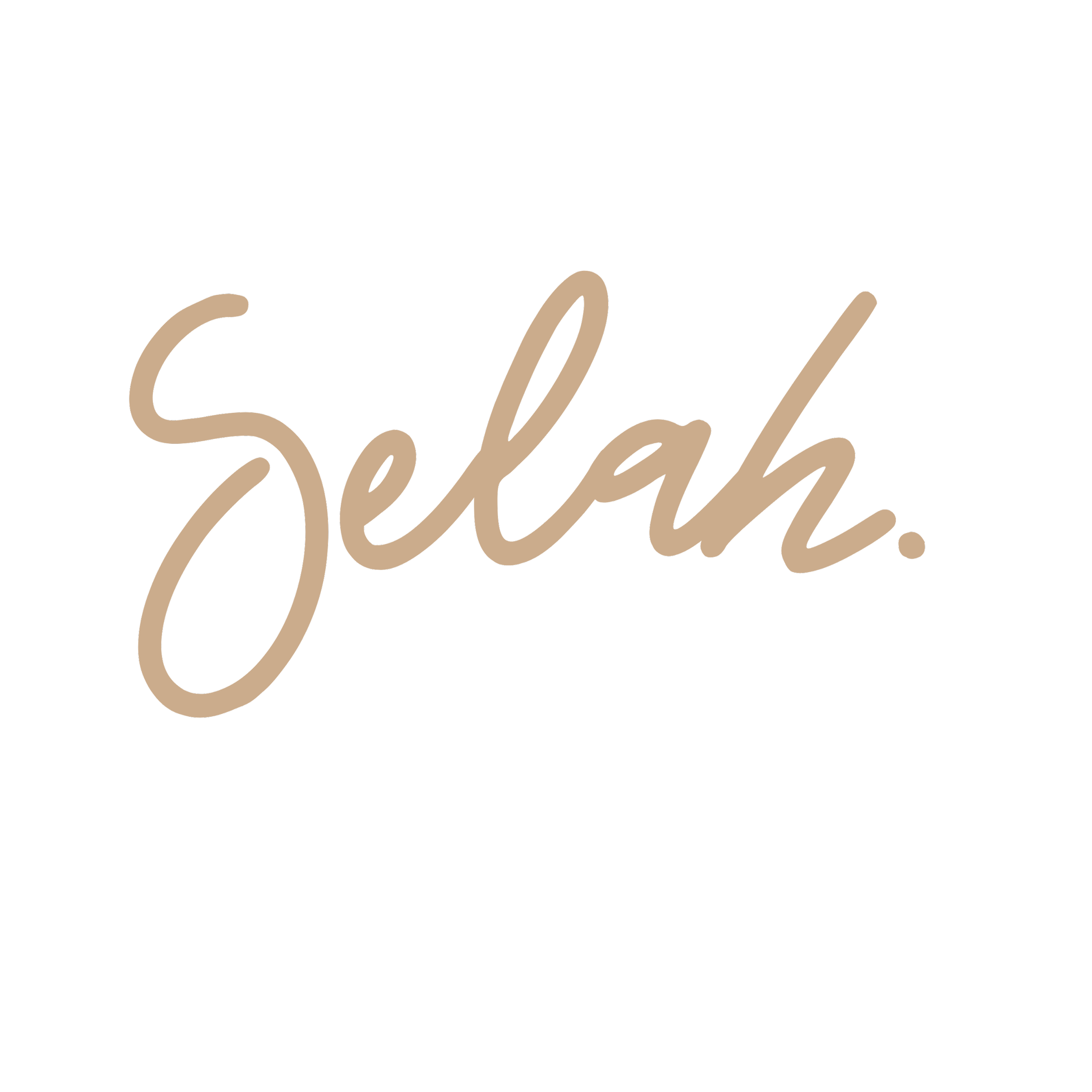 Selah Seminary Empowering Christian Leaders for Kingdom Impact Selah Seminary Empowering Christian Leaders for Kingdom Impact