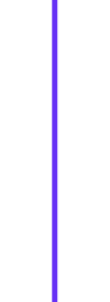 A vertical purple line on a white background.