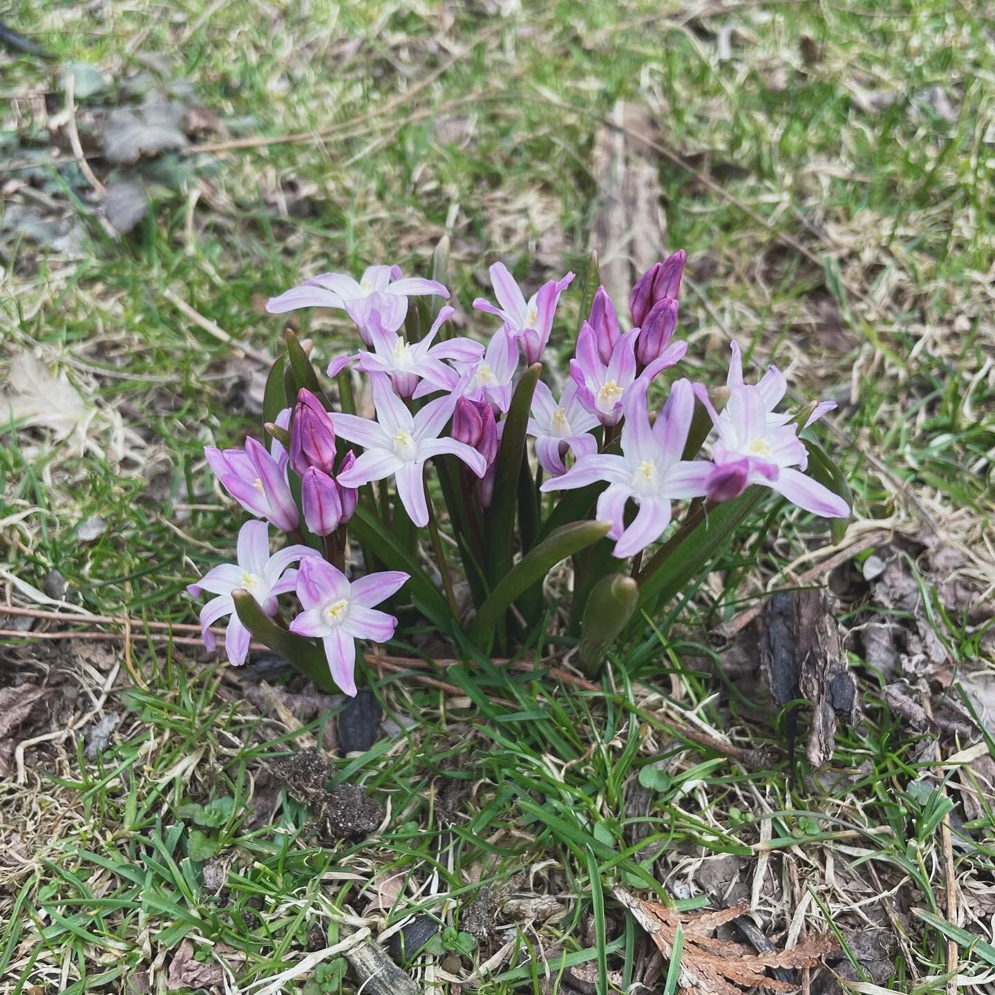 Grow where you’re planted, even if it’s not exactly where you want to be 🌸 Spring has arrived at the River House! 😍