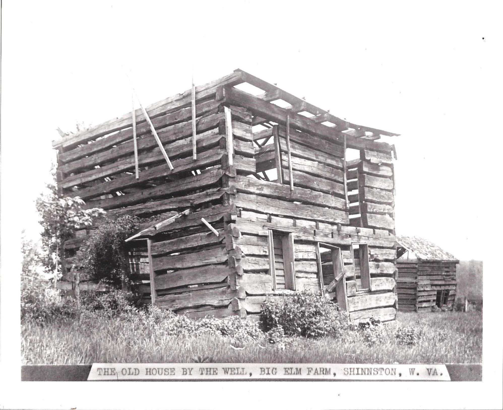 Big Elm Farm 001.jpg