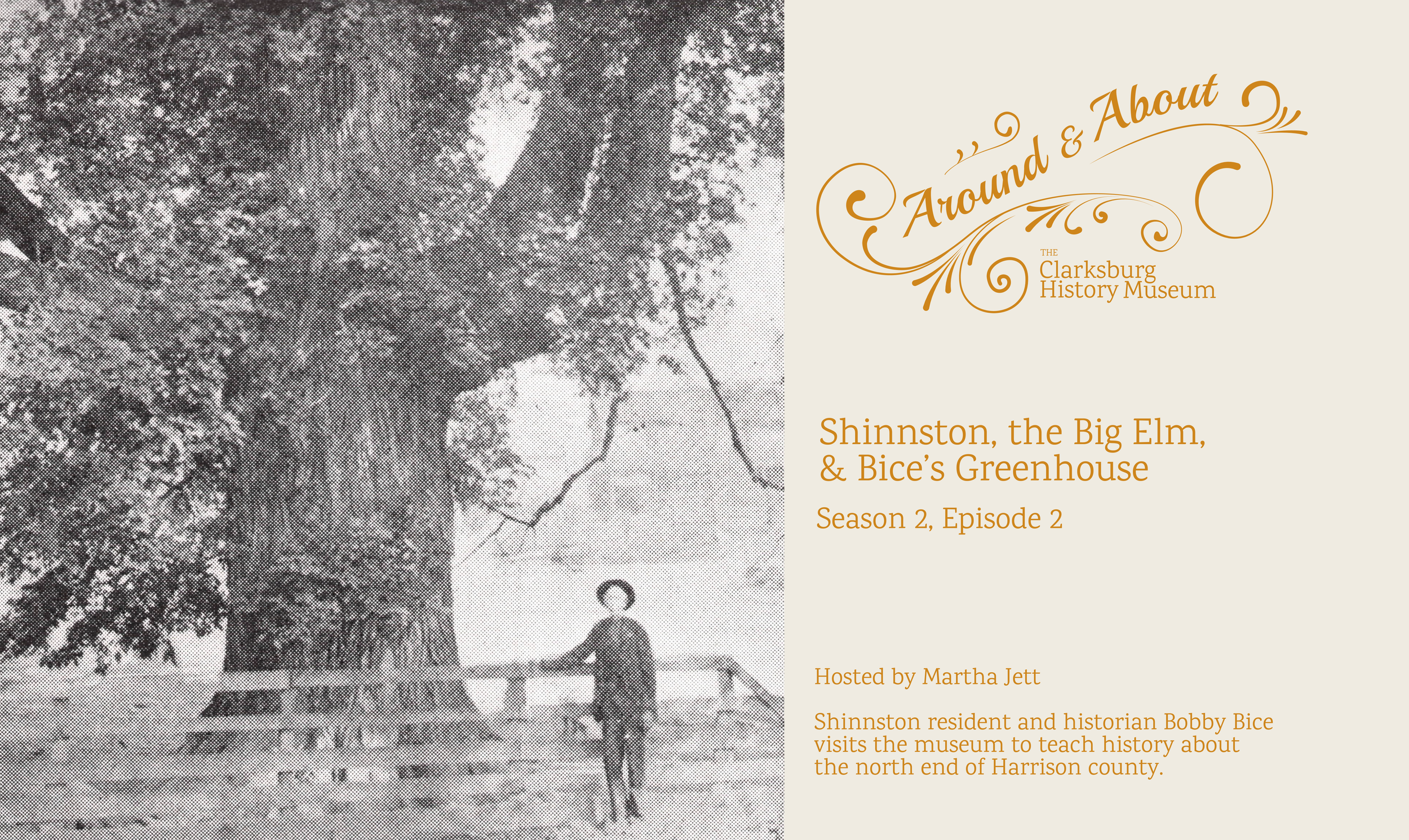 Shinnston’s Big Elm &amp; the Story Behind Bice’s Greenhouse