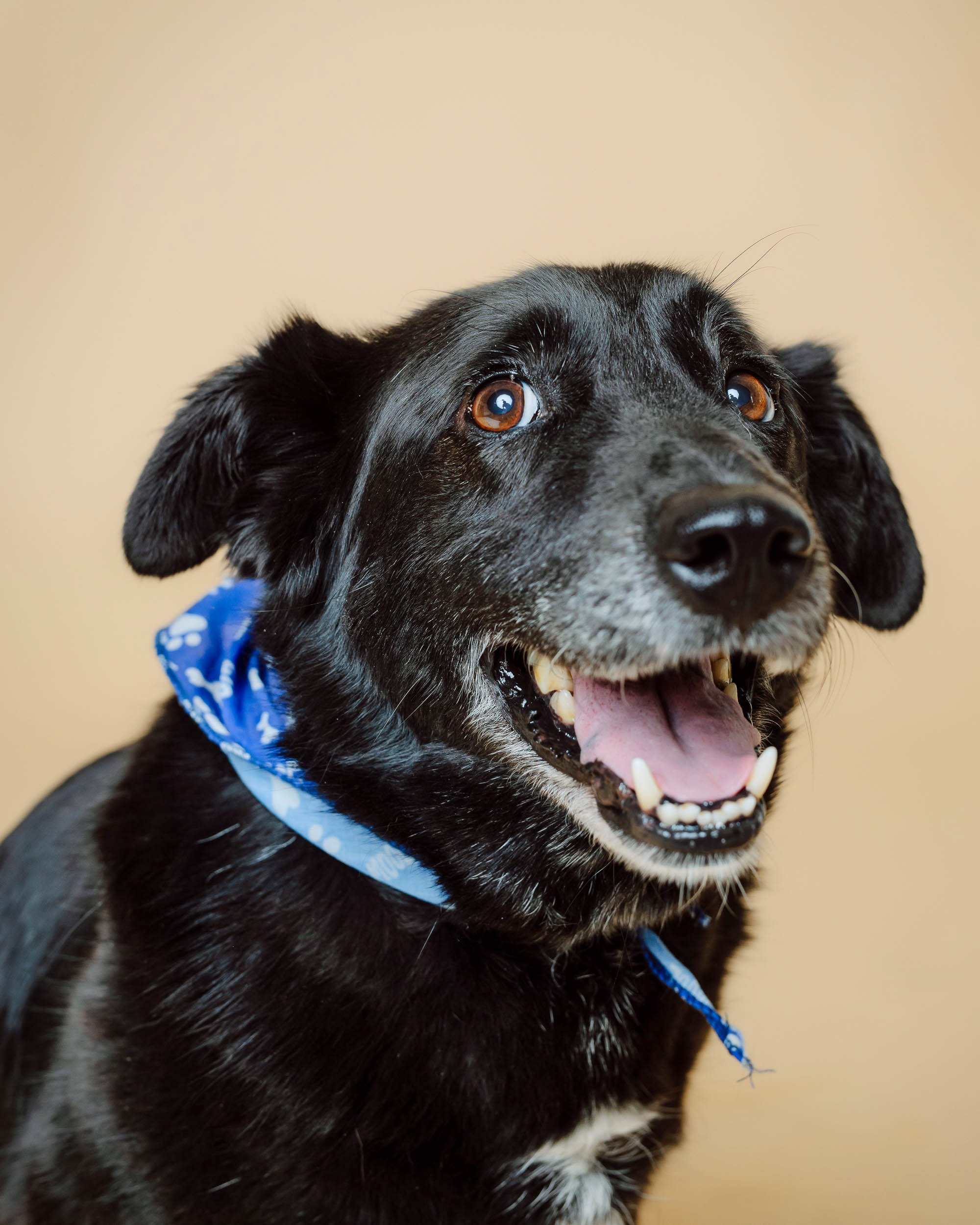 minneapolis studio family photography-30.jpg