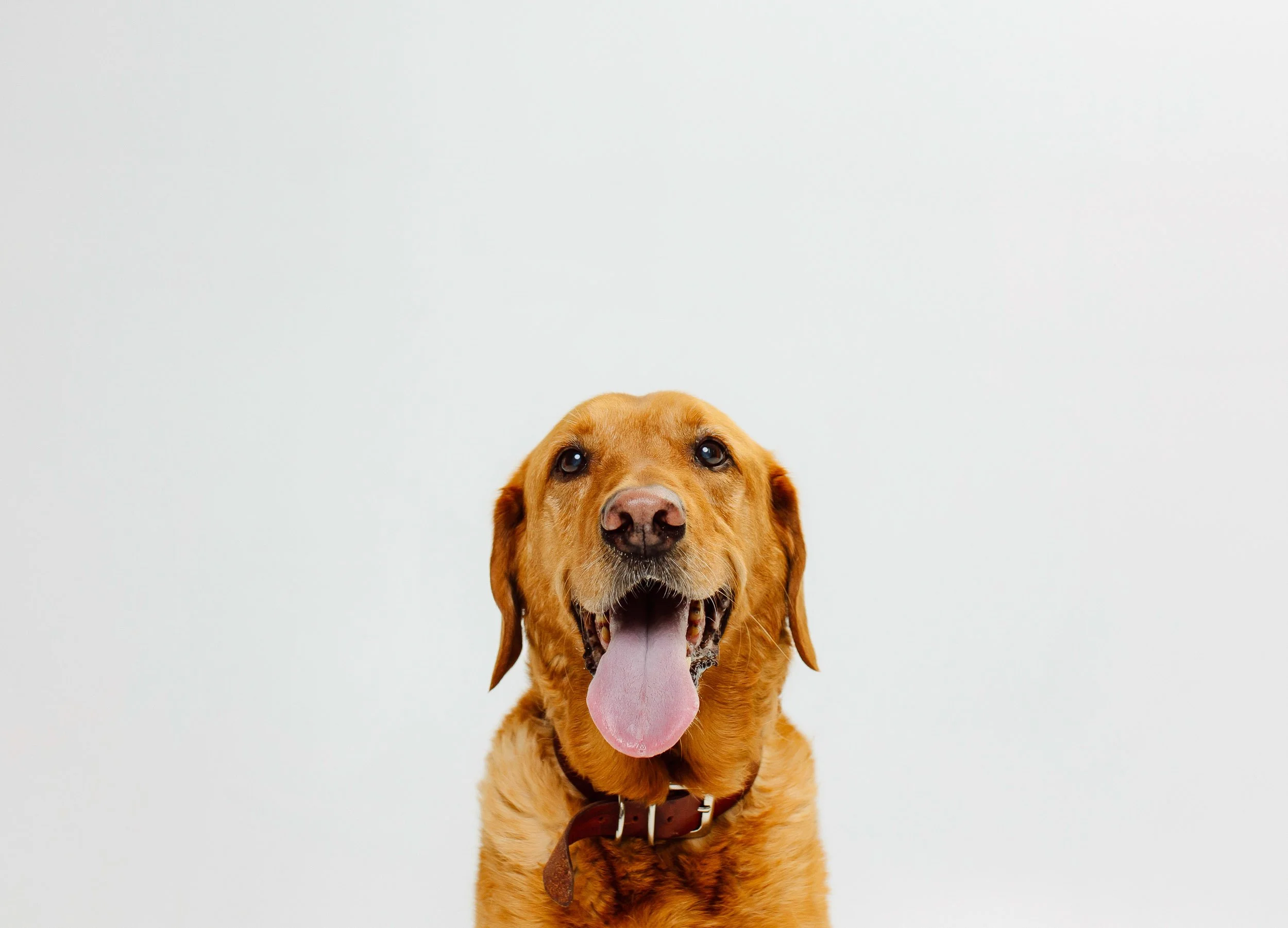 minneapolis studio family photography-44.jpg