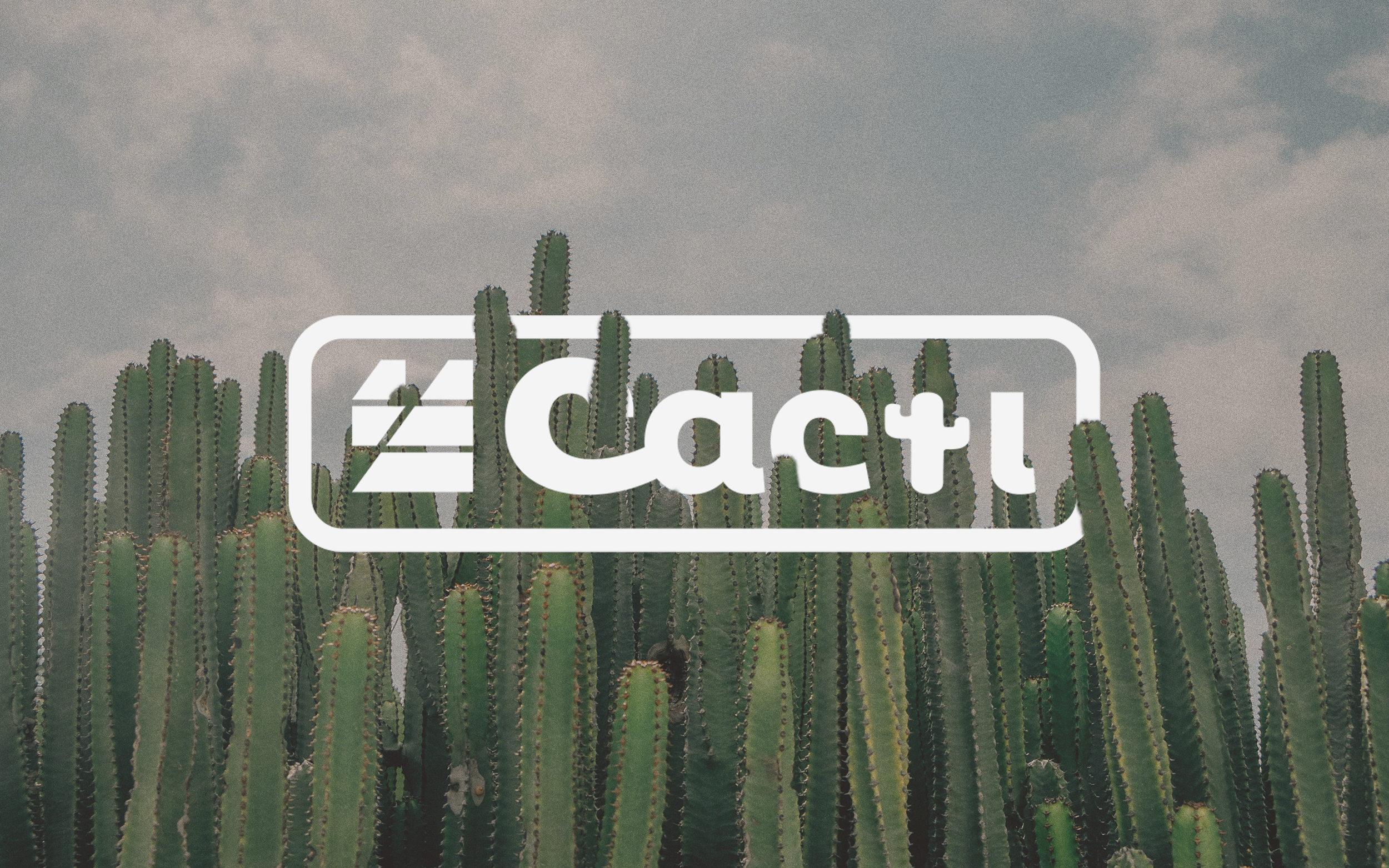 A field of tall, green cacti against a cloudy sky, with a white overlay of the word 'factly' and a stylized logo.