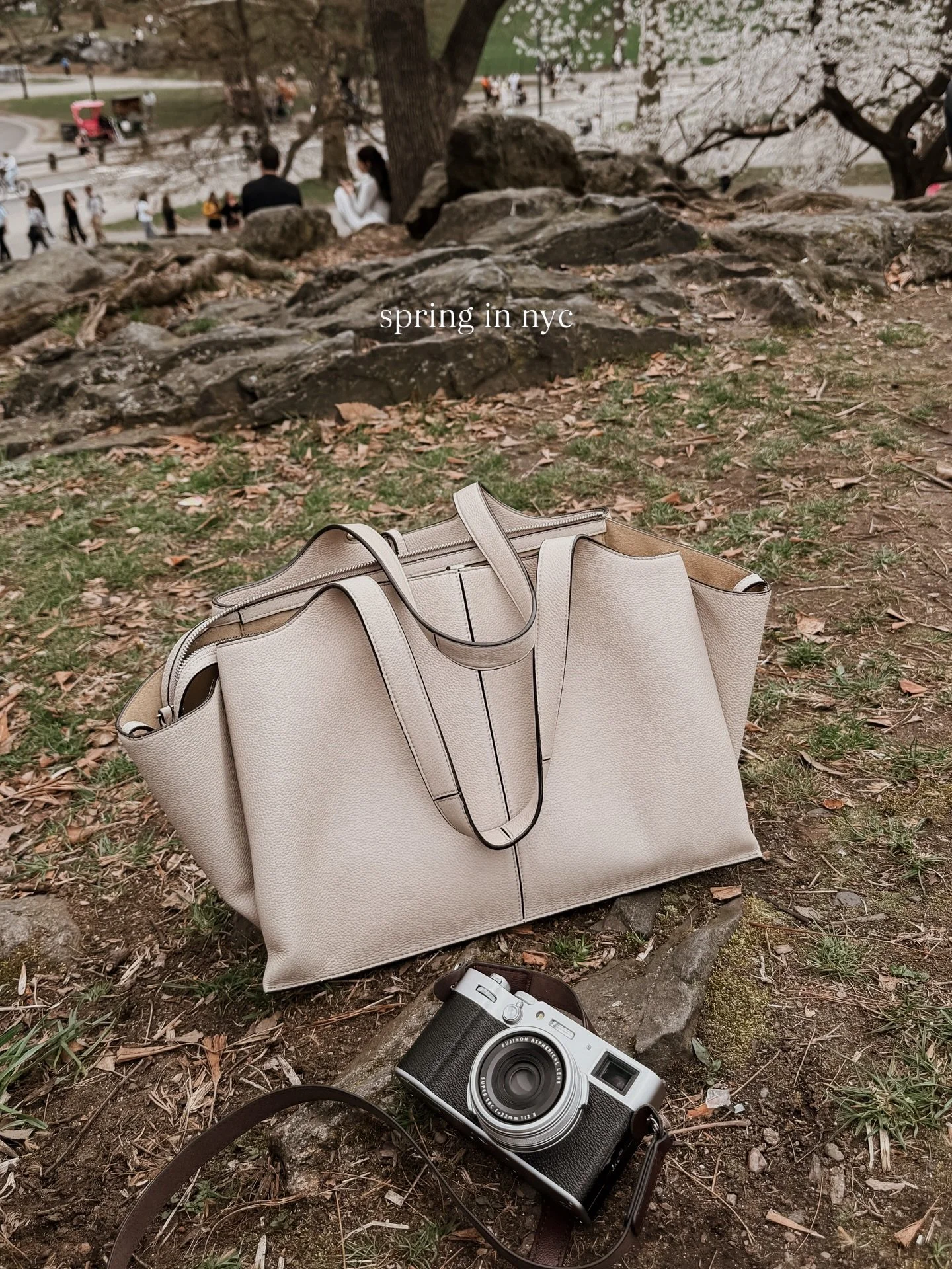 Spring in NYC 🌸

#spring #cherryblossoms #springinnyc #photodump #aesthetics

Central Park, cherry blossoms, spring outfits, printemps fashion show, New York City, nights out