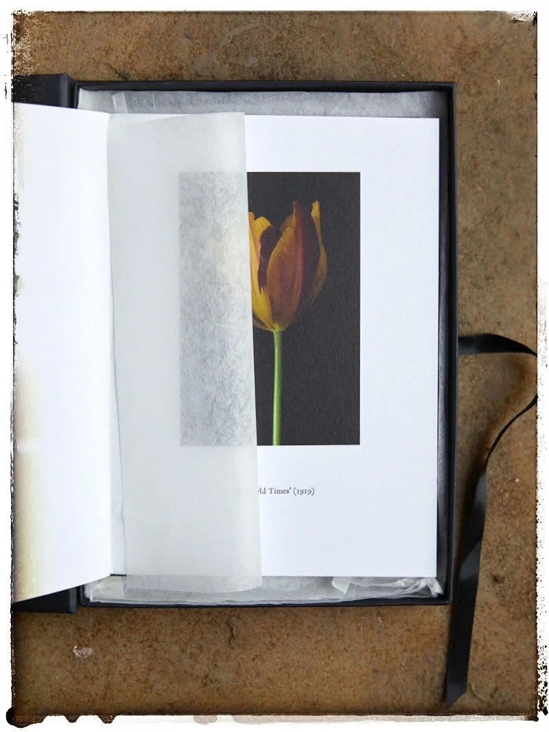 If you happen to find yourself mooching around Bristol this weekend please come by the Martin Parr Foundation for the Books on Photography show! I will be there with my Absorbed by the Beauty book collection. It&rsquo;s a little treasure I dreamt up 