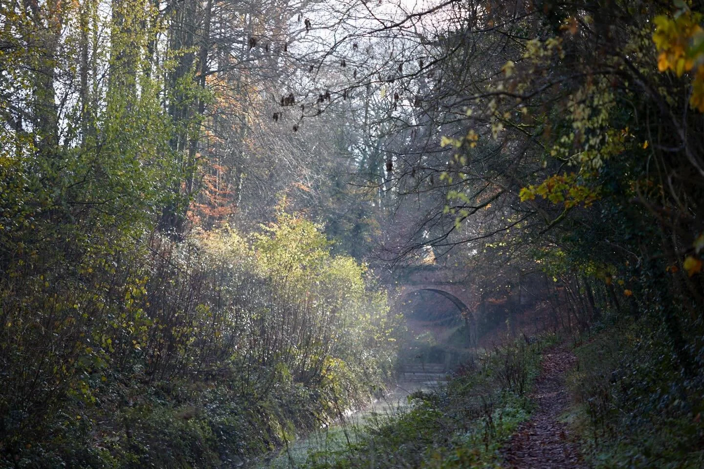 The air was hazy &amp; freezing along this canal path this morning. Lovely to detach myself from the world &amp; drift along a path I haven&rsquo;t explored before. Accompanied by the urgent call of the Marsh tit &amp; chirp of the Redwing it was a p