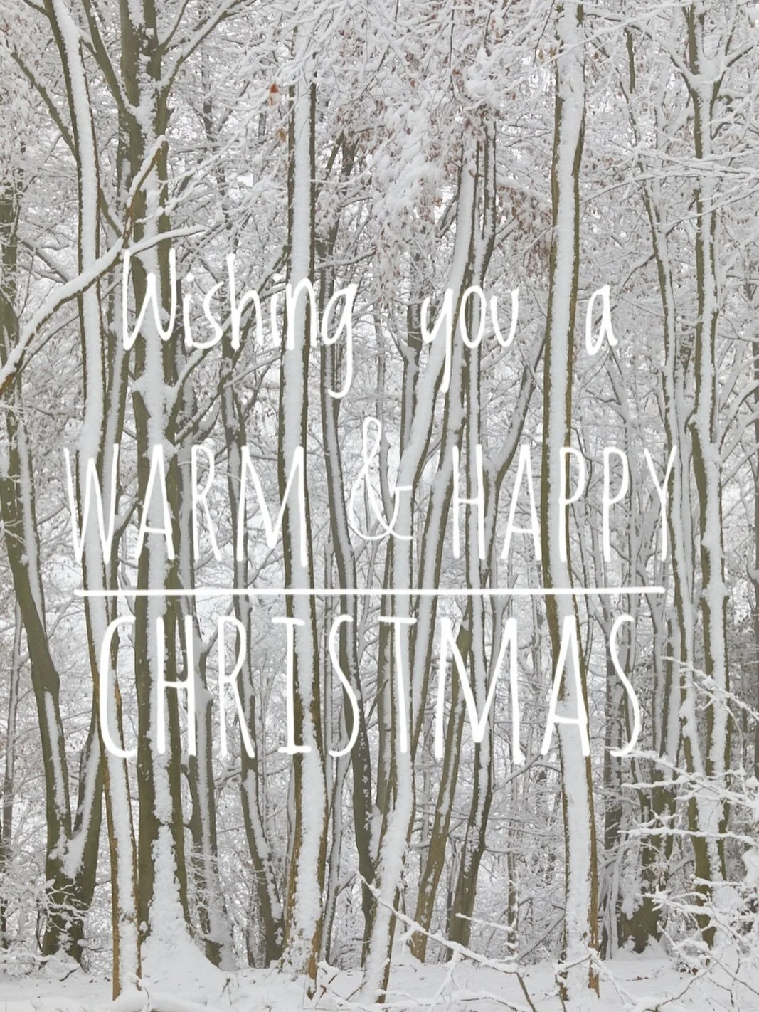 Wishing you all a warm &amp; Happy Christmas 🎄🥂💫