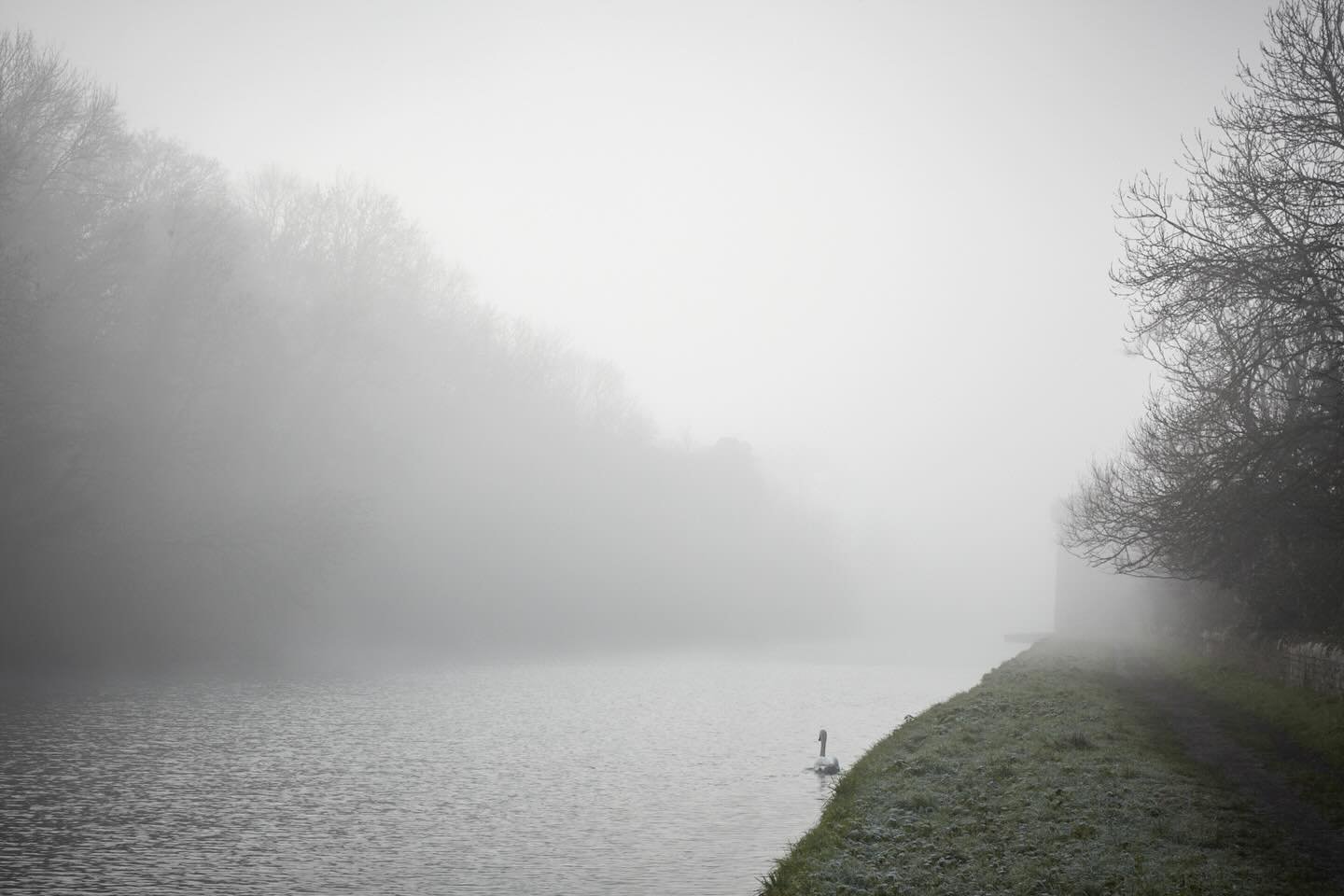 Happy New Year to all my followers on here. Thank you for your comments &amp; encouragement, a freelance life is unpredictable but a choice so we keep our heads down, hold on tight &amp; trust it will all be ok. Here&rsquo;s to healthy &amp; happy 20