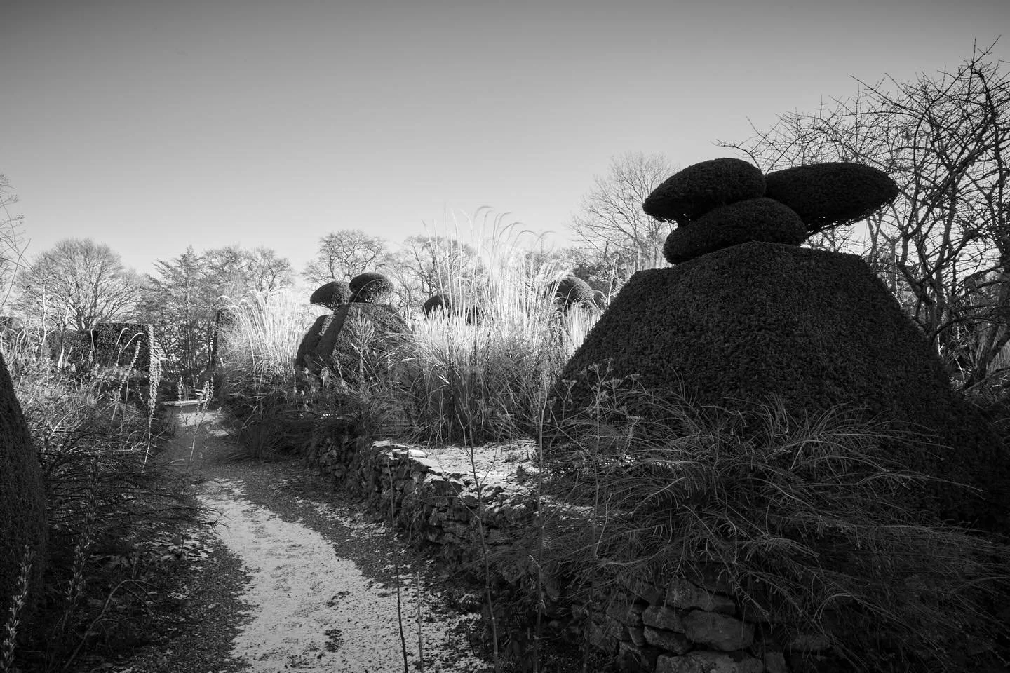 Such a treat to squeeze in a fly by visit to Great Dixter, what a glorious garden it is. 
.
#greatdixter #topiary #gardenphotography #brittwilloughby #gardenvisit