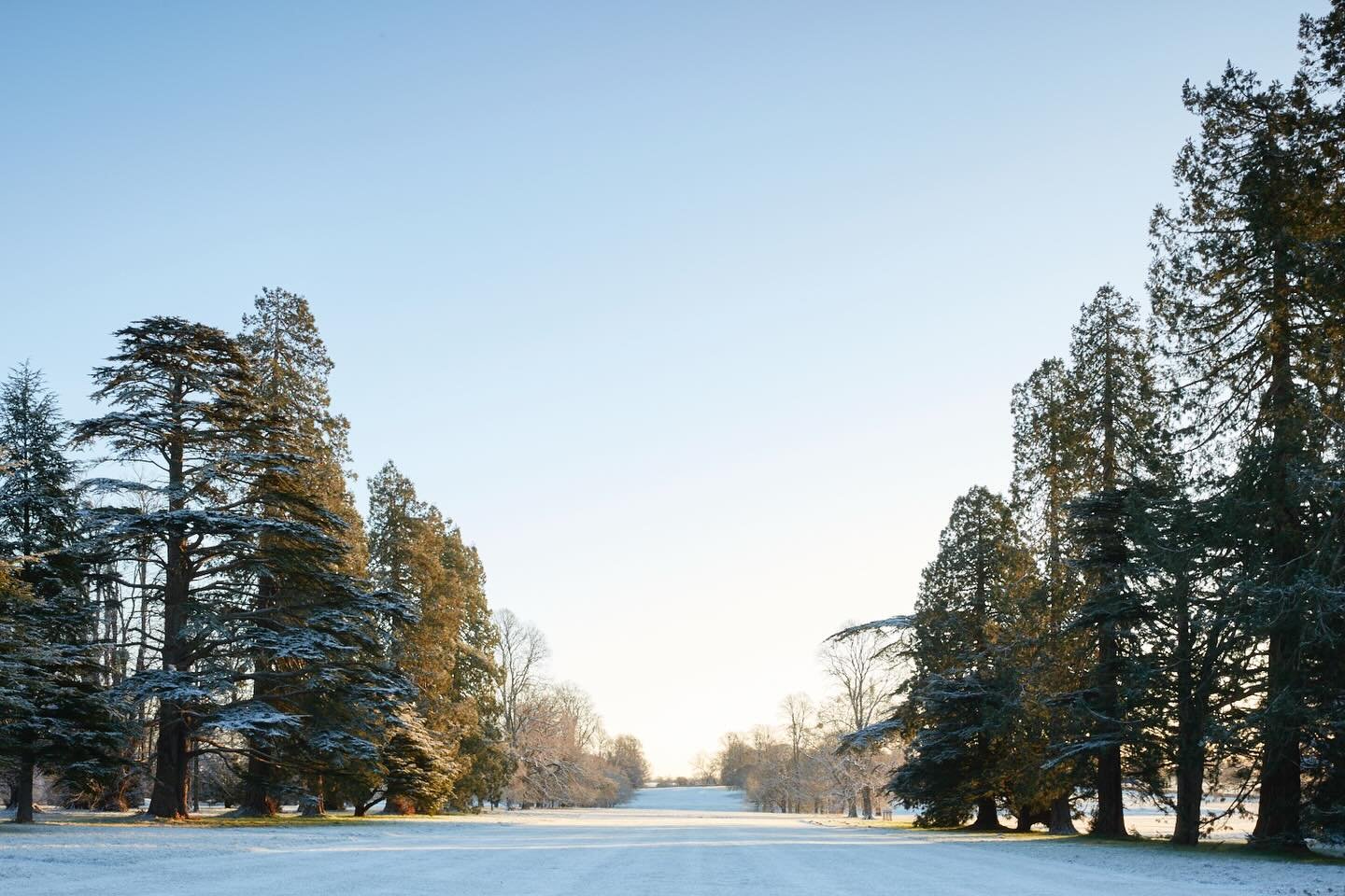 While the storm escalates &amp; the tiles begin their loud chattering, I&rsquo;ve decided to hide downstairs with the fire burning brightly, wind whistling through the log burner. It&rsquo;s hard to believe that a few days ago it was well below freez