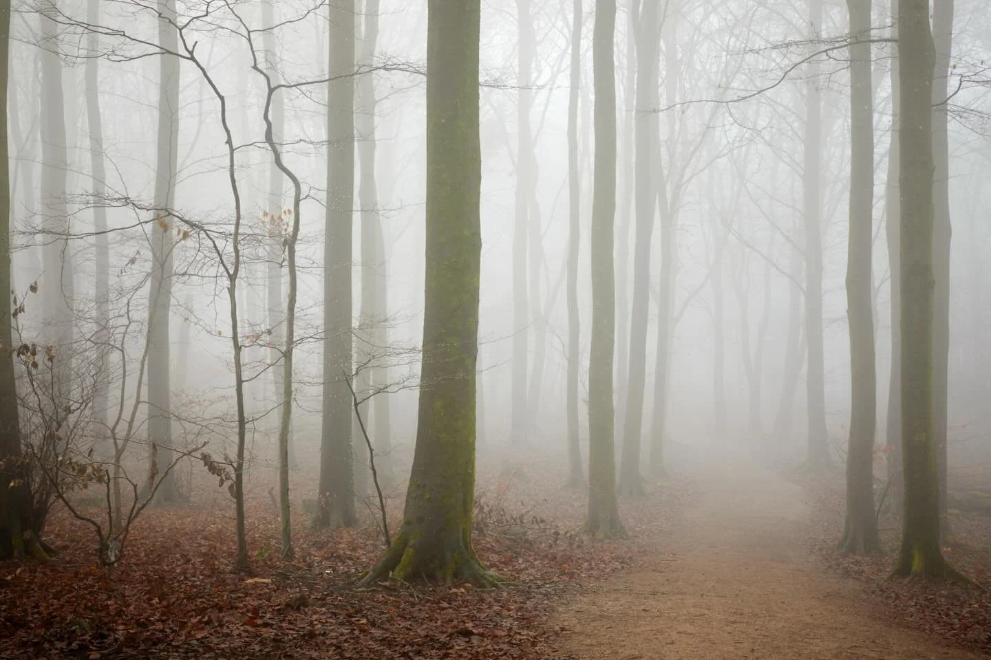 In the clouds today. The stillness &amp; weight of peace is heavy today. A day of planning ahead. My lists seem to grow &amp; grow but today it feels right to just take stock, live in the moment without worrying about the past or what lies ages.
.
#j
