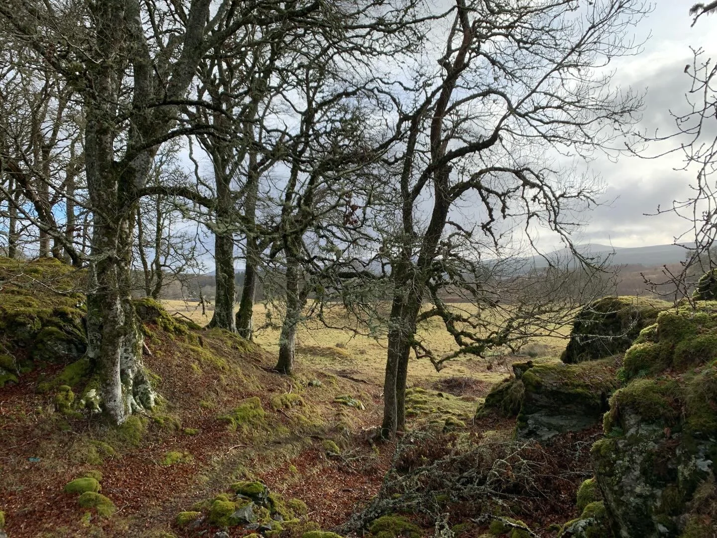 We are surrounded by ancient landscape here at @invernauld. It feels like we&rsquo;ve gone back in time, all you can hear is the power of the Cassley River &amp; all that surrounds us is nature. Ancient trees &amp; boulders of vibrant spongy moss, it