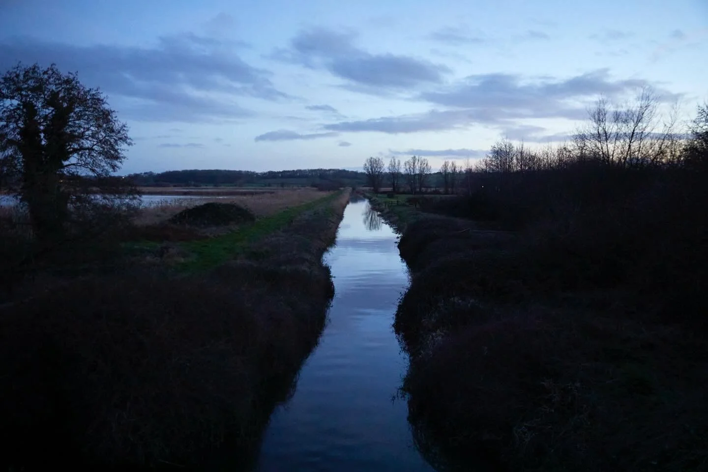 Last glints of light down at Ham Wall, what a beautiful evening it was. The starlings came in their thousands, small &amp; large flocks arriving from over the hills &amp; joining up, creating a huge cloud. No murmuration  but still a wonderful sight 