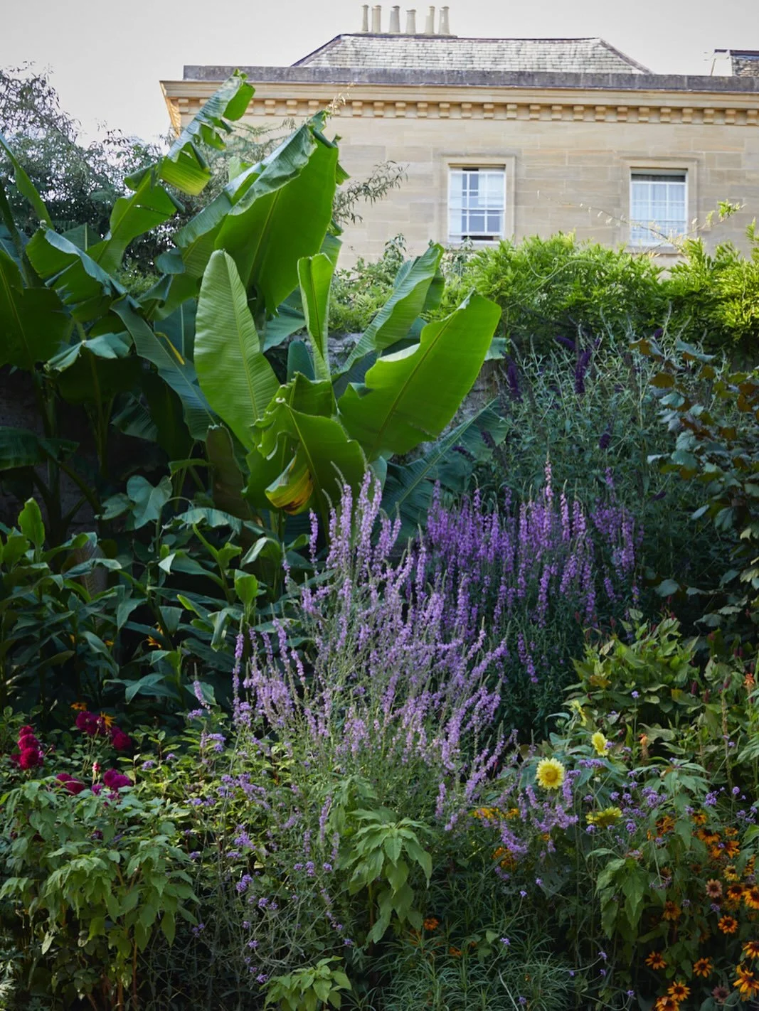 Behind the discreet entrance to Worcester College at Oxford University lies this  stunning garden, an absolute gem in the heart of the city. Huge praise to Head Gardener @worcestercollegegardener and his team, a real oasis of calm and beauty.  Great 