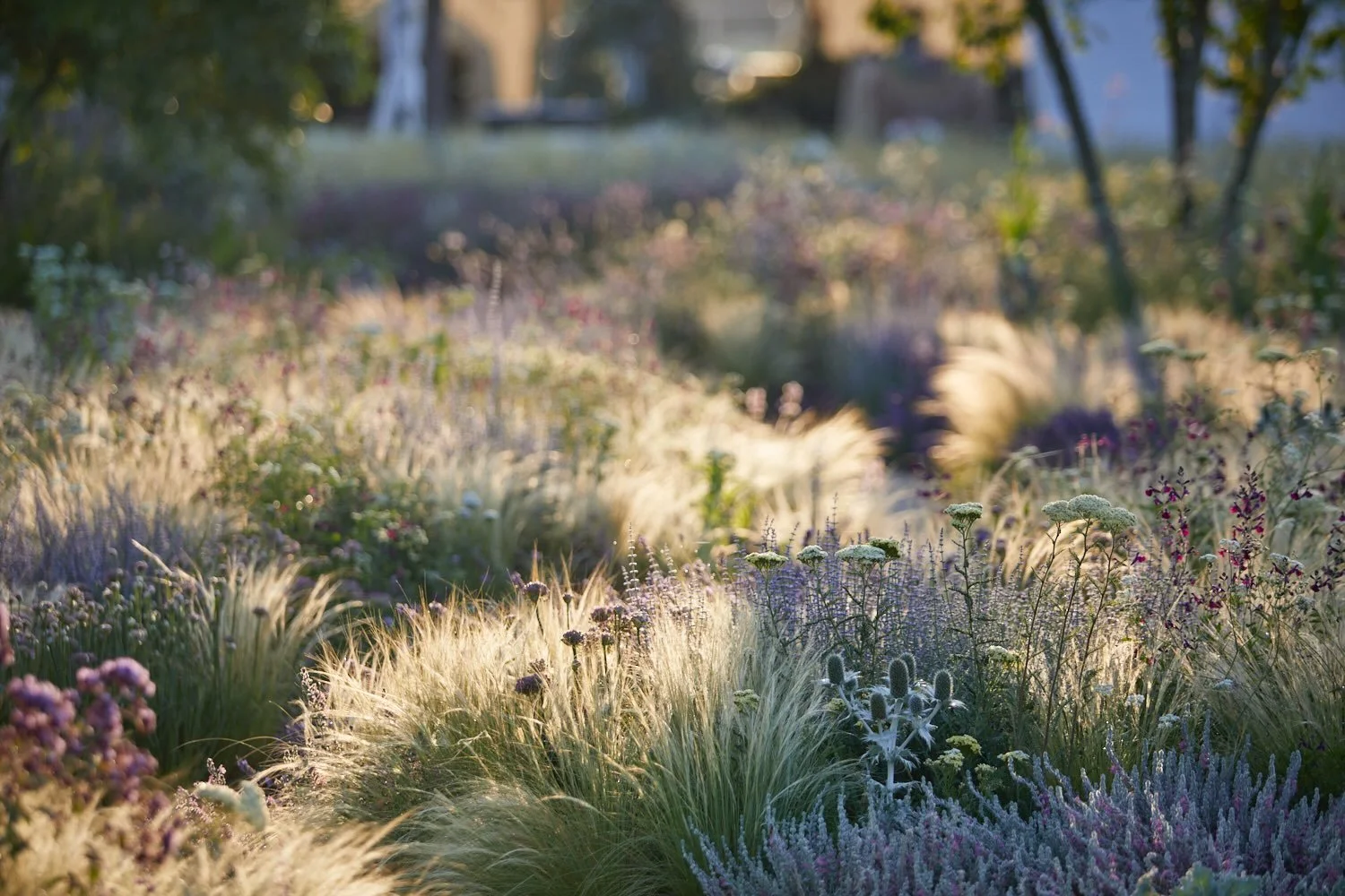 Whilst I&rsquo;m stuck on a train bound for the big smoke, I can&rsquo;t help but reflect on this incredibly romantic garden. I think Julia Rausing would have utterly loved it, walking dreamily through the gentle curves of the pathways, the planting 