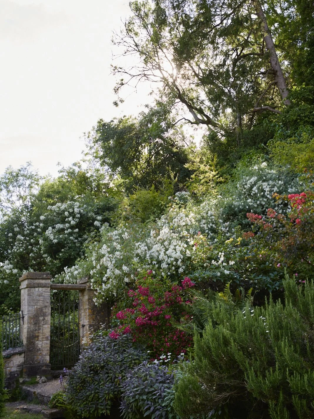 What a week.. the sunrises have been incredible (&amp; incredibly early). I&rsquo;ve been travelling across the country capturing a few stunning gardens for clients, as well as just visiting a few too &amp; now I&rsquo;m back to my chaotic neglected 