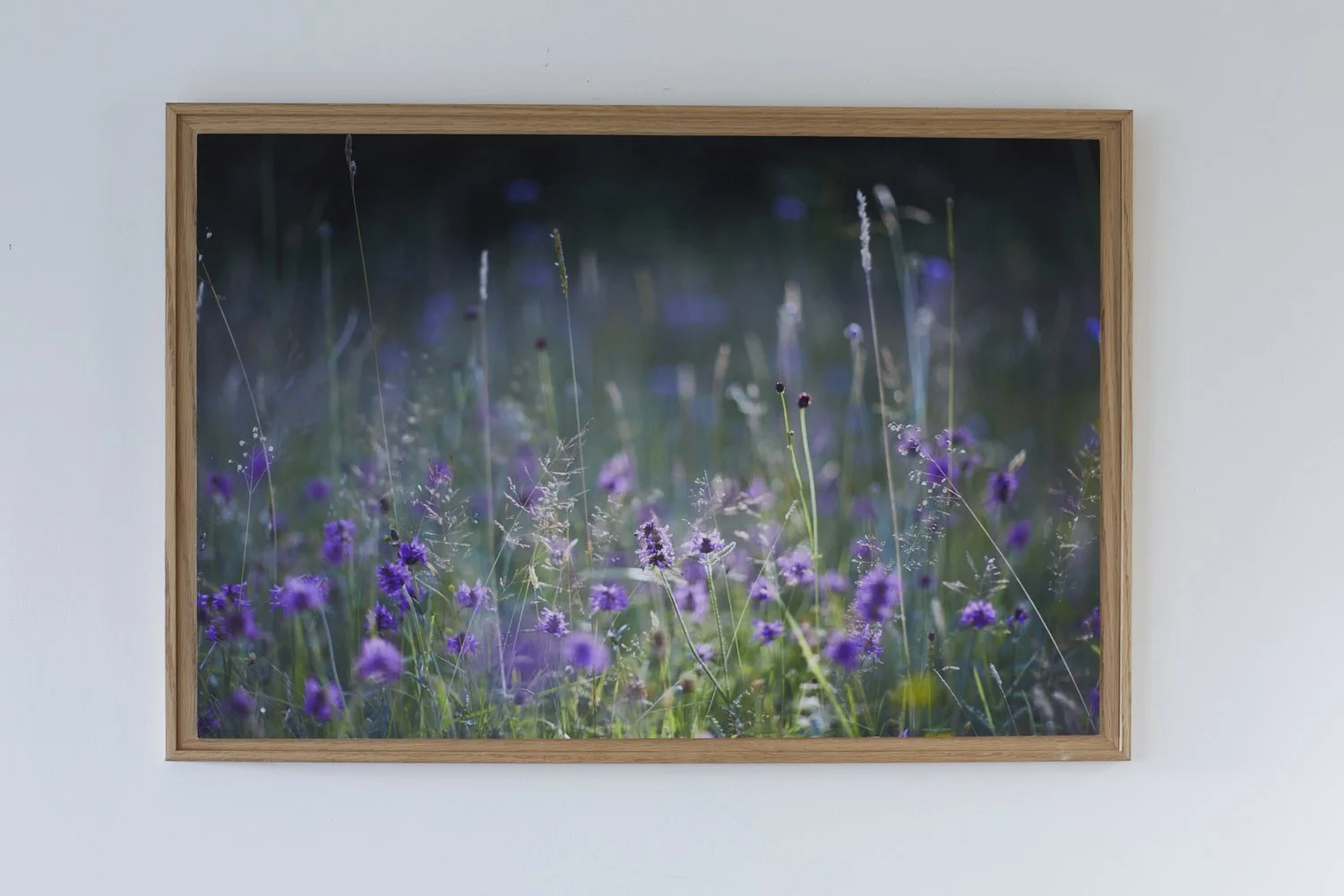 Betony and Quaking grass