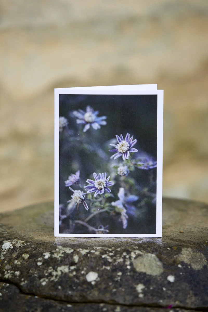 IMG_0613  © Britt Willoughby Dyer.jpg