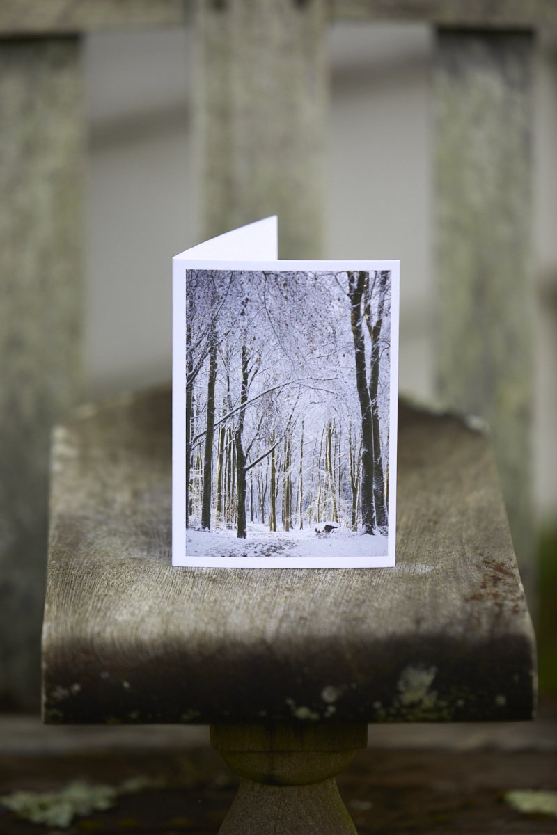 IMG_1529  © Britt Willoughby Dyer.jpg