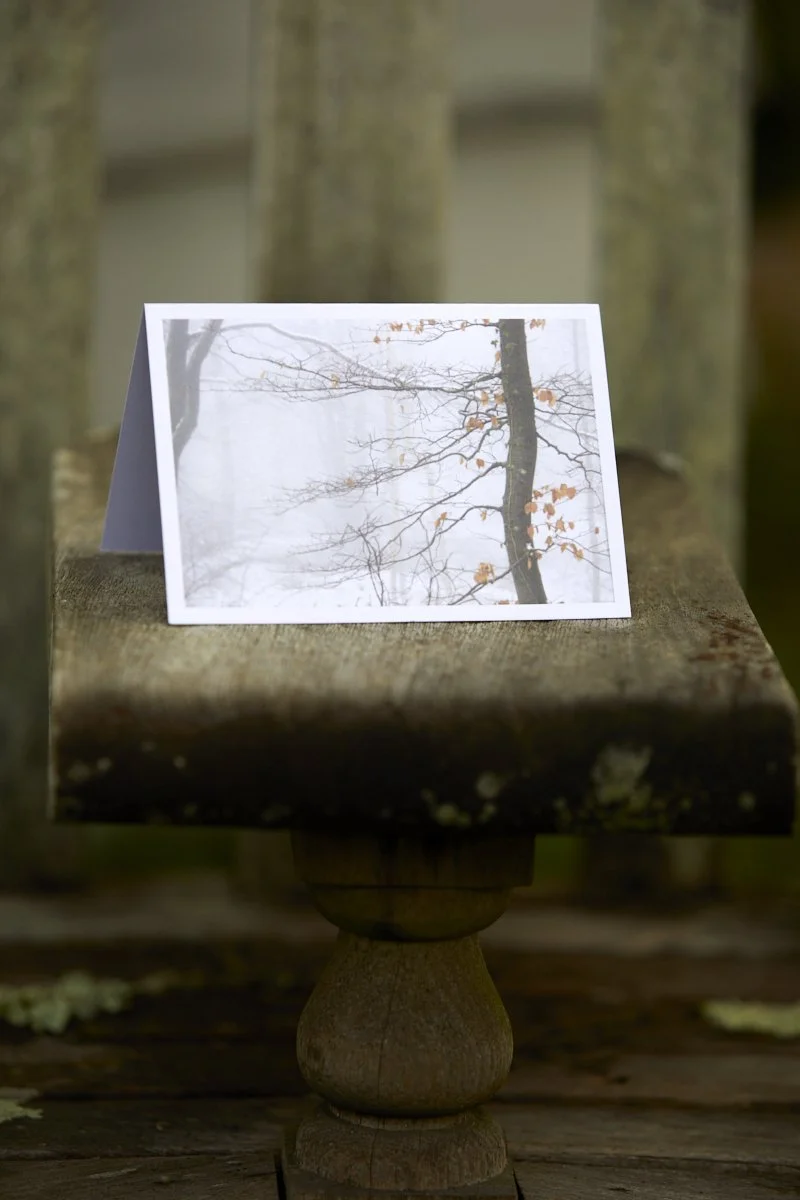 IMG_1523  © Britt Willoughby Dyer.jpg