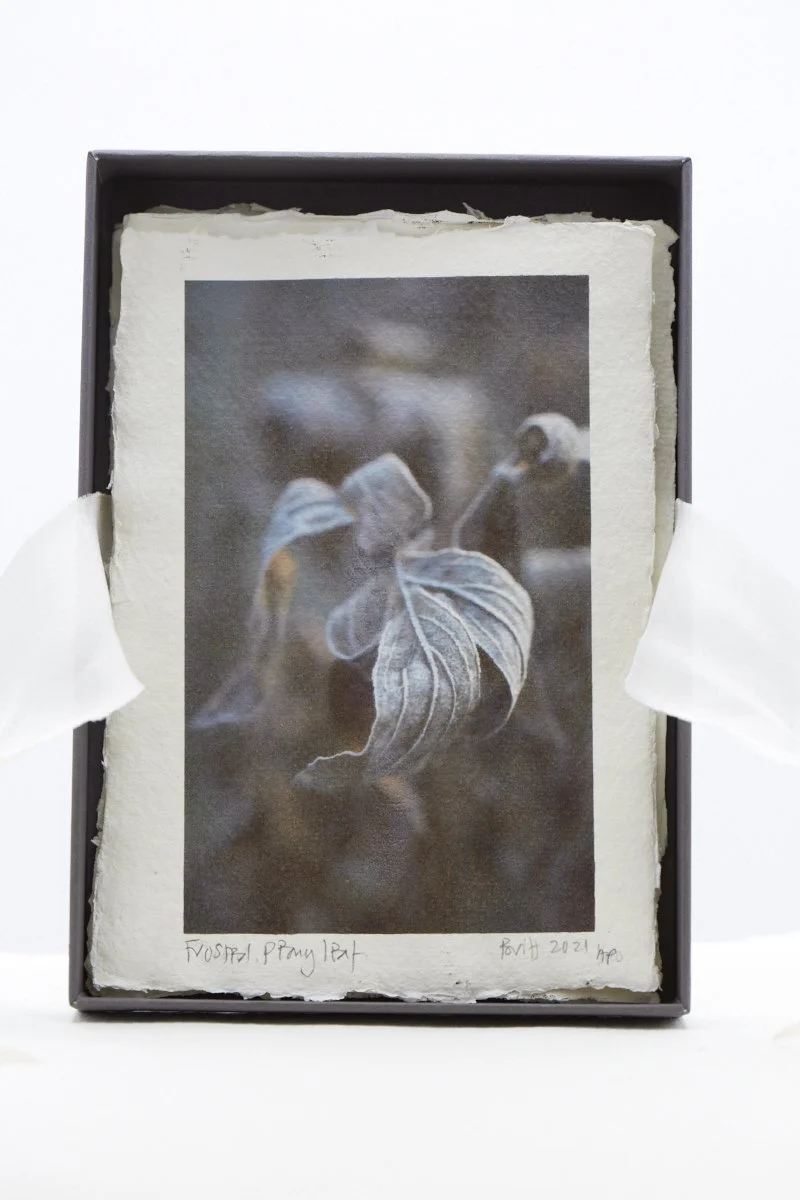 IMG_2495 Photography by Britt Willoughby Dyer ©.jpg