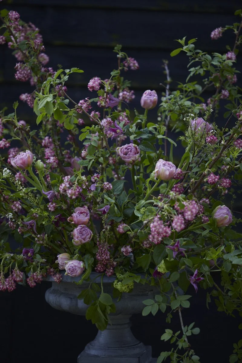 IMG_0191 © Britt Willoughby.jpg