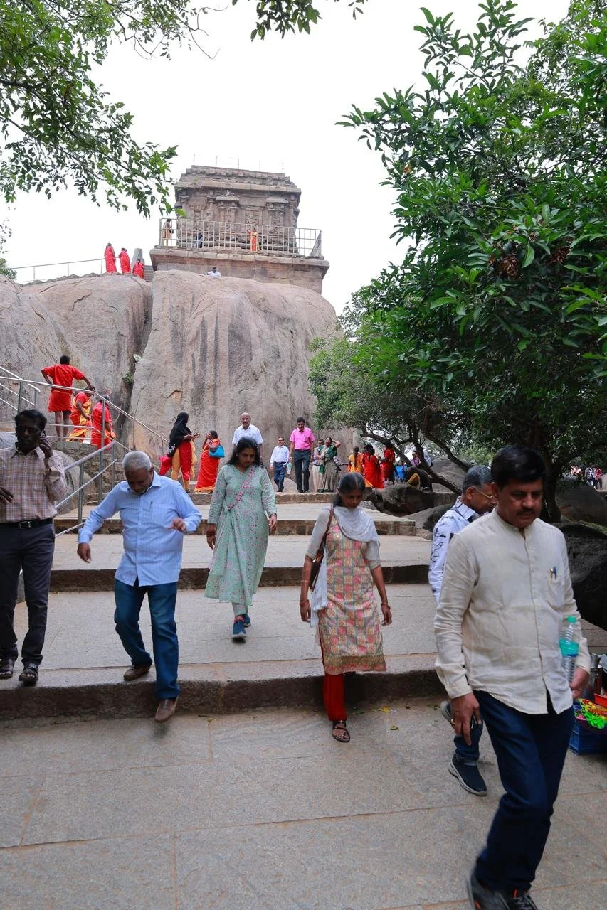 BSR can do Civil business and Cooking business.