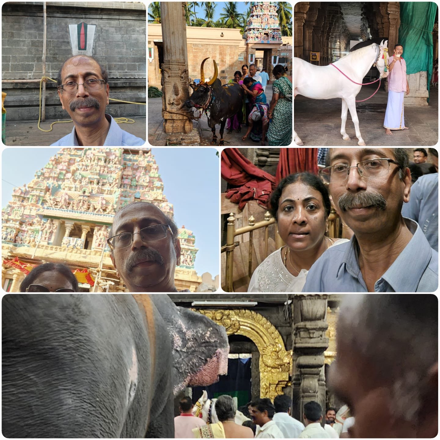 Pal and Radha at the Srirangam temple on June/05/2025.