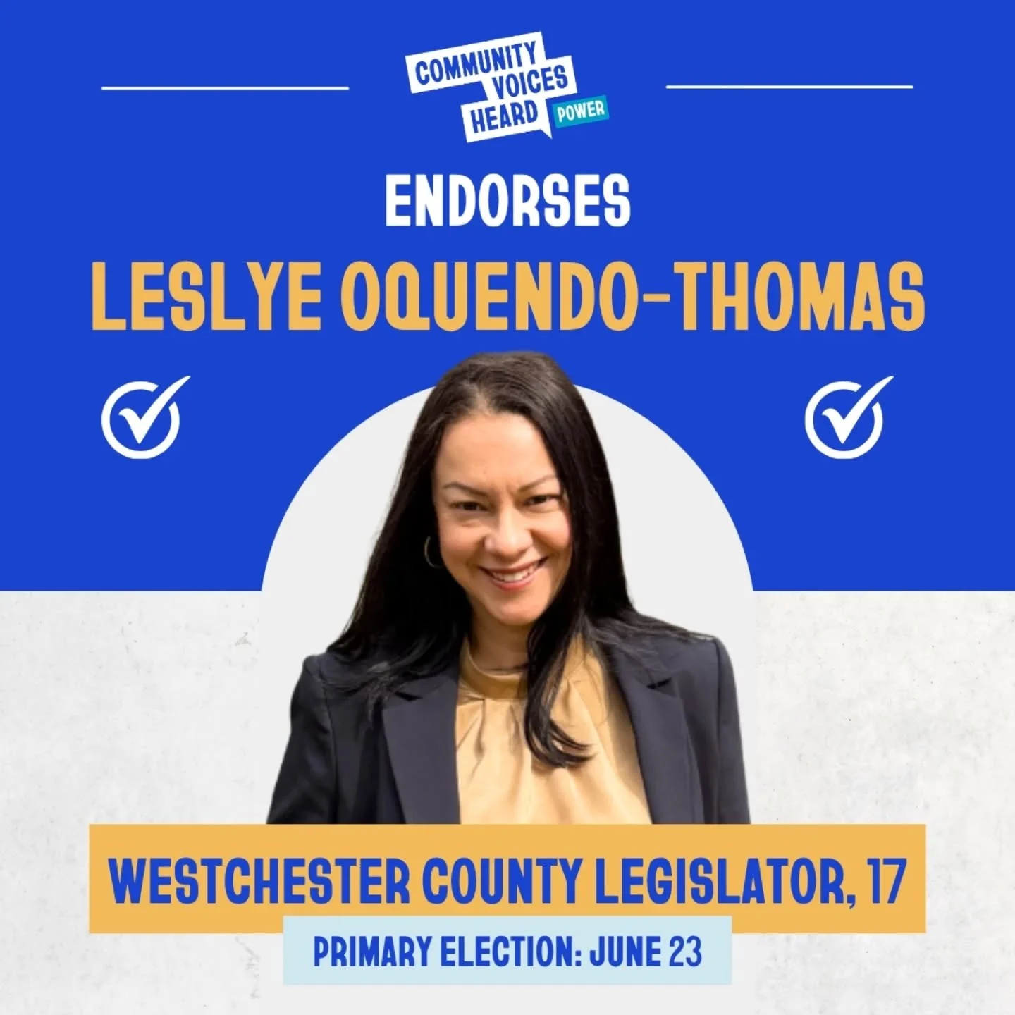 Community Voices Heard Power members stand with @leslyeforwestchester for Westchester County Legislator, District 17.

"CVH Power represents the kind of politics I believe in &mdash; grassroots, people-powered, and rooted in racial, social, and 