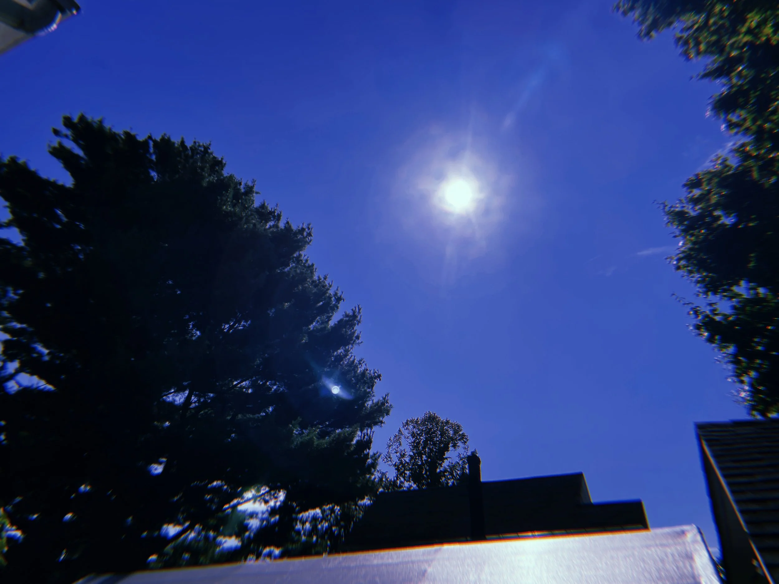 2023-09-27 10:59:34.262.jpg