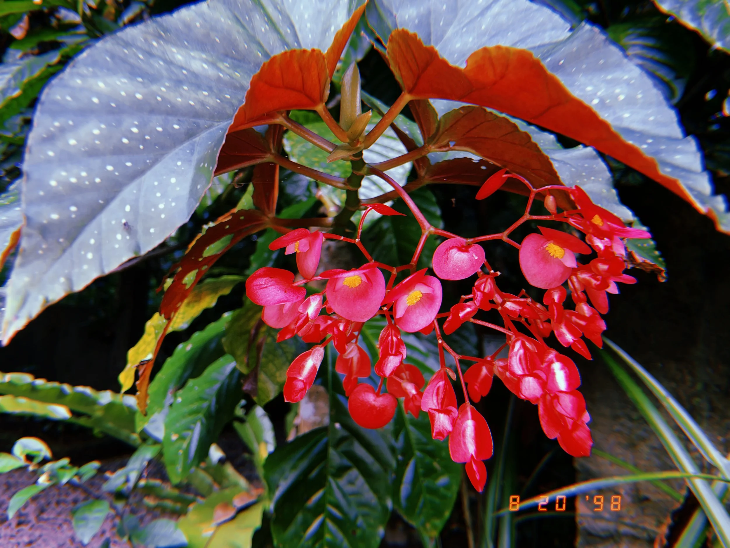 2022-08-20 17:11:17.661.jpg